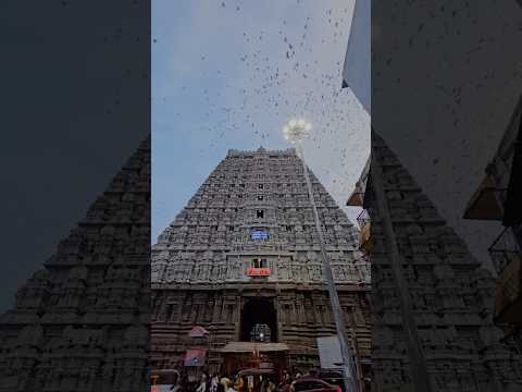 Arunachalam The Eternal Flame of Spiritual Power #arunachalam #tiruvannamalai #shivji #shorts