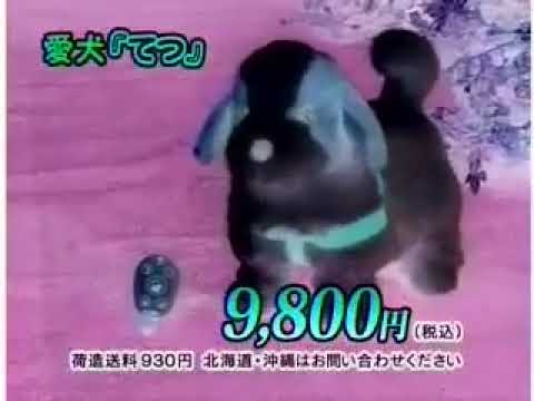 【閲覧注意】見たら100％頭痛が起こる愛犬ロボてつ