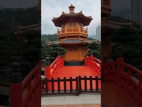 Nan Lian Garden-Hong Kong｜Amazing place built in the Tang Dynasty style!#hongkong #travelhongkong