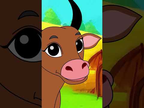 Bingo Was His Name O I Popular Nursery Rhymes And Kids Songs For Kids #shorts #kidsshorts