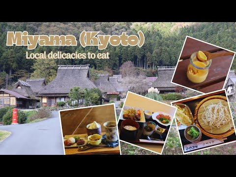 Kyoto Hidden Gems Tour: Must-Try Local Delicacies Around Miyama Kayabuki-no-Sato  |有CC繁體中文