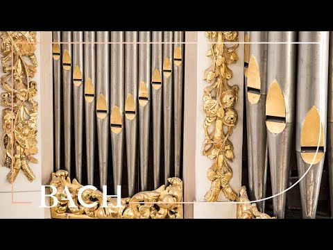 Bach - Jesu, meine Freude BWV 1105 - Van Doeselaar | Netherlands Bach Society