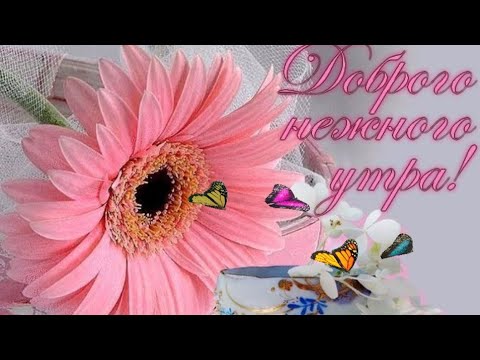 Чудесного летнего утречка! Наилучшее пожелание доброго утречка и хорошего дня!