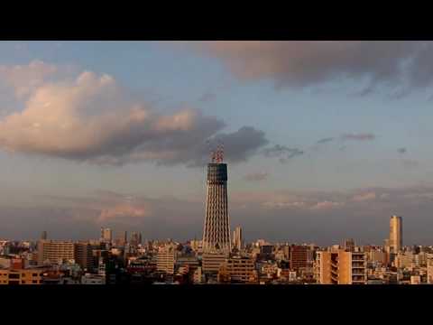 ― TOKYO memoir （ 東京回想録 ） ―