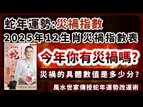 蛇年災禍︱2025年12生肖災禍指數表︱十二生肖今年你有災禍嗎？︱子平八字算命︱犯太歲、人緣運、財運、事業運、姻緣運解說《#徐墨齋七星堂︱第35集》八字︱八字算命︱FMTV