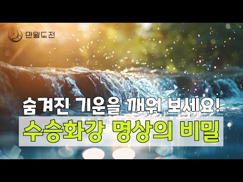 5분 만에 힐링! 수승화강 명상으로 몸과 마음 정화하기 | 스트레스 해소하는 수승화강 명상 | #만월도전TV 선도명상