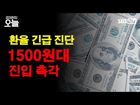 [경제현장 오늘 다시보기] 금융위기 수준 '환율 발작' 언제까지?