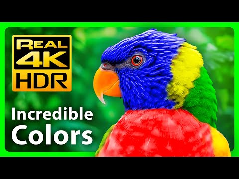 The Most Beautiful Nature Colors in Stunning 4K HDR & Relaxing Music