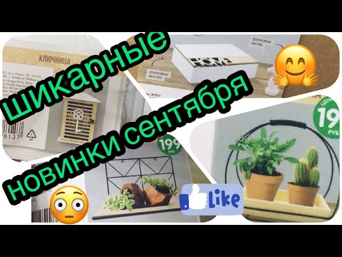 💚FIX PRICE💚ШИКАРНЫЕ НОВИНКИ СЕНТЯБРЯ😱