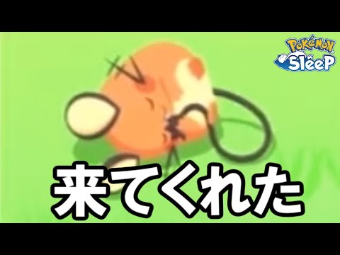 運営からのお年玉デデンネがコチラ・・・。【ポケモンスリープ】