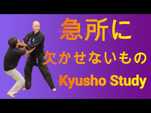 The trick to effect pressure points | Japanese Martial Arts  | Bujinkan Kobudo