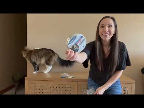 12-Month Flea & Tick Protection for Cats: Real Customer Review