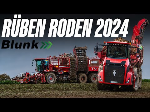 HOLMER | RÜBEN RODEN 2024 | BLUNK | #agriculture #farming #landwirtschaft  #tractor #farm #farmland