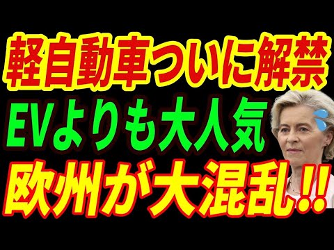 【海外の反応】欧州でEVが終焉⁉軽自動車解禁でEVの価値がなくなる衝撃の理由とは・・・