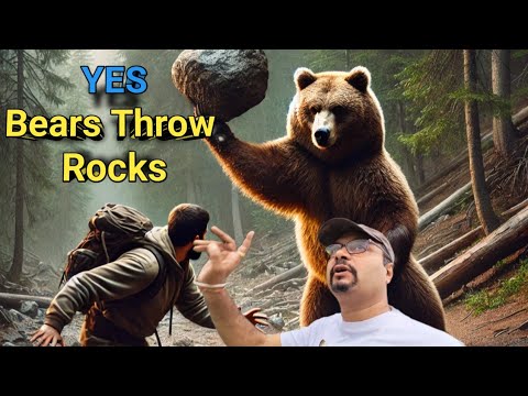 भालू पत्थर फेंकता है । Bears Really Throw Rocks । Unbelievable Wildlife Behavior । Bears Throw Rocks