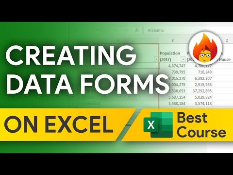 How to create a Data Form on Excel | Excel