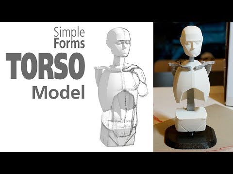 Simple Forms: Torso Model