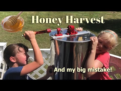 Honey Harvest 2019 and My Big Mistake!