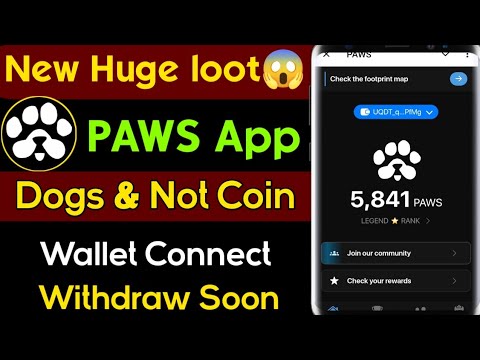 PAWS Airdrop | PAWS Airdrop telegram Bot | Paws bot | paws telegram | Paws wallet Connect | paws