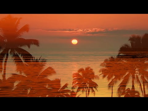 3 Hours Tropical Sunset Ambience | Calm Ocean Sounds for Relaxation and Restful Sleep