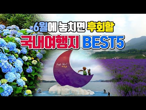 6월에 놓치면 후회할 국내여행지 BEST5 /6월 여행지 추천 /6월에 가볼만한곳 /국내여행 /퍼플섬 /제주도 여행 /동해 여행 /포천 여행