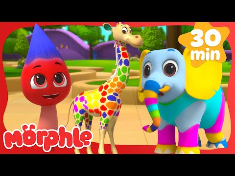 Morphle the Paintbrush: Coloring the City | Morphle TV #shorts | Fun Kids Cartoon