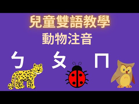 ㄅㄆㄇㄈ 幼兒注音教學｜動物ㄅㄆㄇ｜注音符號發音｜兒童英文學習｜中英文單字｜雙語教育｜Chinese Alphabet and Animals