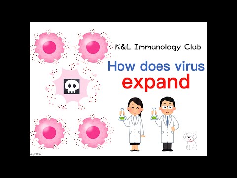 ④How does the virus expand?