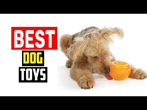 ✅Top 5 Best Treat Dispensing Dog Toys For Playful Pups