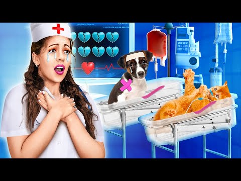 ❤️‍🩹 I Saved Homeless Tiny Puppy & Cat! How to Take Care of Your Pet by La La Life Emoji