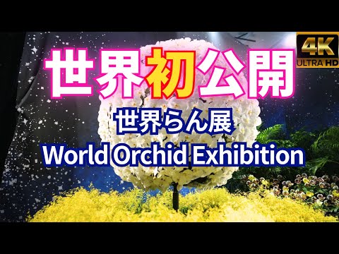 World premiere “World Orchid Exhibition 2024”