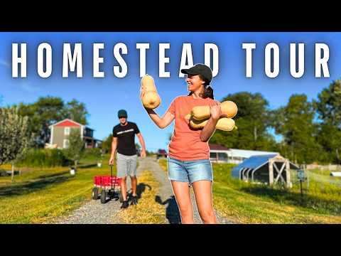 EVERYTHING on Our 5 1/2 Acre Homestead (+ harvesting the BIGGEST butternut squash ever)