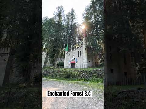 Enchanted forest B.C #enchantedforestadventure #bc #familyadventure #familytime #shorts