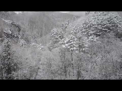 日本東北新幹線途中雪景