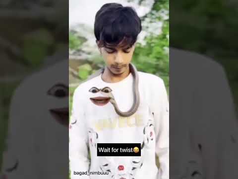 CGMEME Nagpanchami  #cgshorts #video #snake #sawan #chhattisgarhi_status