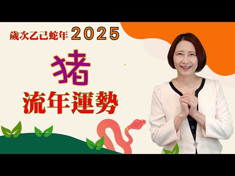 #生肖屬猪2025流年運勢 #2025乙巳蛇年 #屬猪2025流年運程和專屬的開運化解方法 #2025流年九宮飛星 #2025住家風水佈局 #生肖猪2025運勢 #猪2025 #十二生肖2025運勢