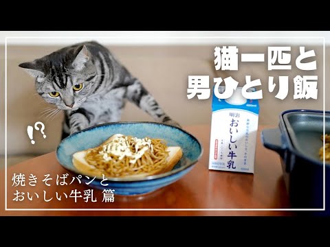 妻不在につき、炭水化物祭りをしようとしたら愛猫がこうなりましたw【猫一匹と男ひとり飯】