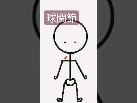 解剖学【球関節】#shorts  #鍼灸 #柔整