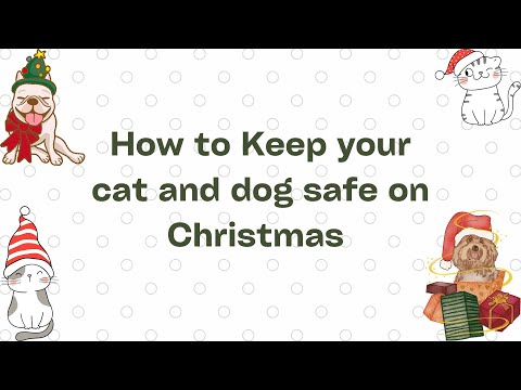 Holiday pet safety | how to keep your pet safe on Christmas | Cat and dog measure on Christmas