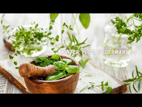 Eastern Three Wise Men's Day 🌱 Herbs with Nanakusa Gayu / New Year's Eve Fireworks - Vlog in German