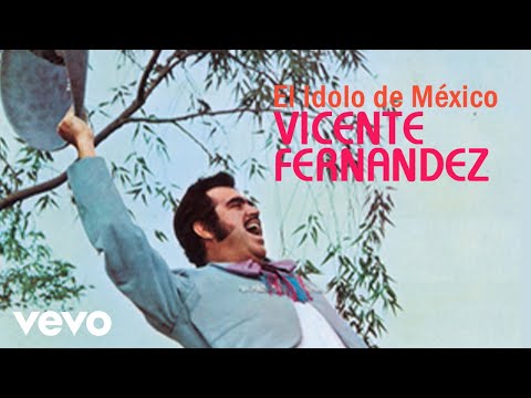 Vicente Fernández - Que Dios Te Bendiga (Remasterizado [Cover Audio])