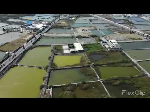 鑫溶水產-口湖魚塭篇