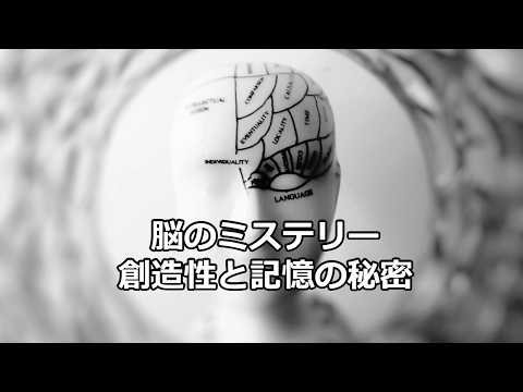 科学の雑学～人間の脳の驚異的な能力～