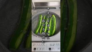 きゅうりは茹でるとうまくなる！