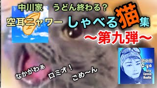 しゃべる猫集〜第九弾〜2022.4.22 【空耳ニャワー】