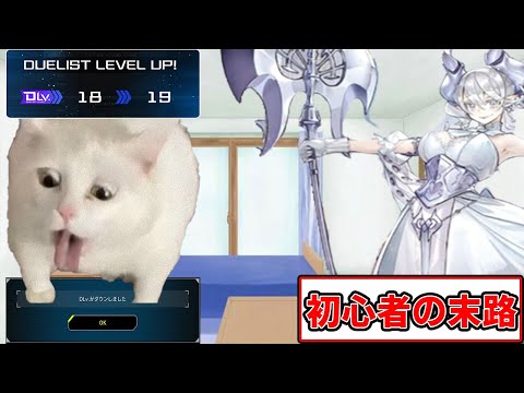 【遊戯王ネコミーム】デュエリストカップに挑んだ初心者の末路＃猫ミーム＃猫マニ