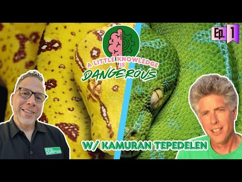 A Little Knowledge is Dangerous: Episode 1 w/ Kamuron Tepedelen