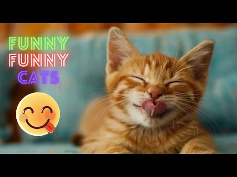 Funny Cat Videos on Youtube 😹 Funniest Cat Videos of All Time 😺Funny Cat Videos Compilation😹Part 127