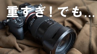 最強ポートレート便利ズームレンズ？不満点に納得して購入。