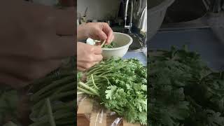 Chinese vegetables #foryou #shortsvideo #chinesefood #vegetables #chinesefoodrecipe